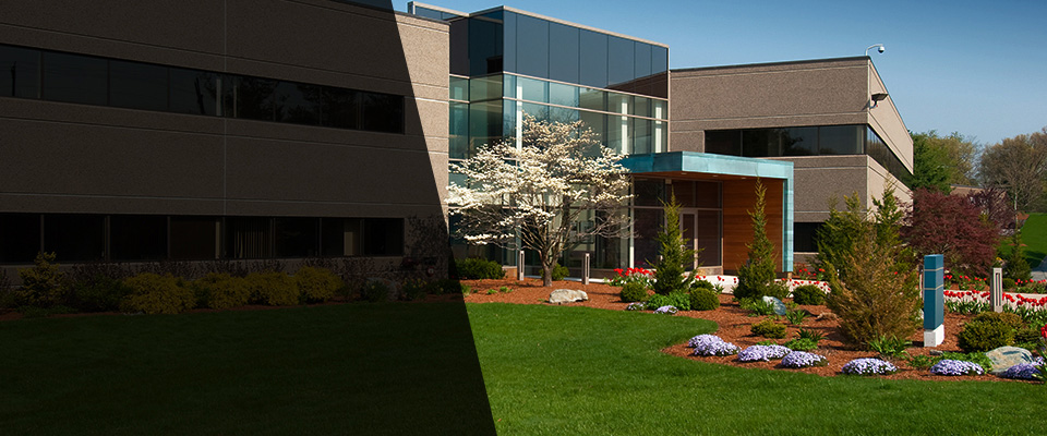 Yale Landscapers