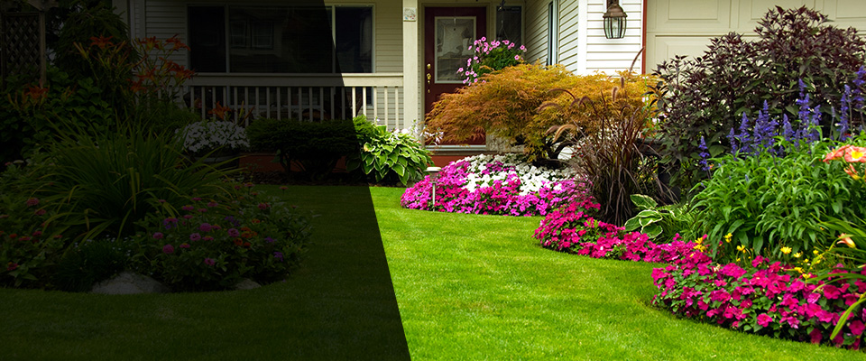 Yale Landscapers