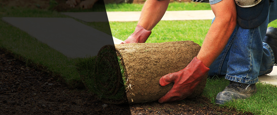 Yale Landscapers